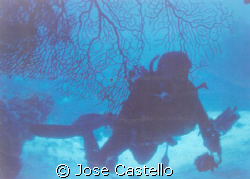 As my strobe failed and stop working,I began to shoot sil... by Jose Castello 